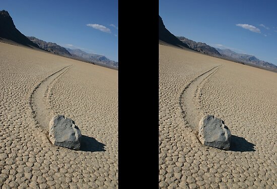 The Racetrack - Death Valley, California by CarolM