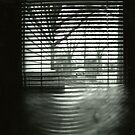 Spook Window by Lisa Mintz