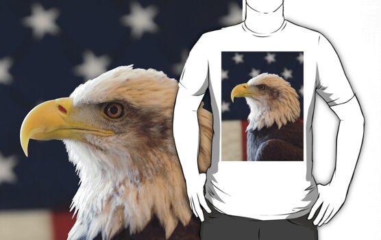 american flag eagle. american flag eagle wallpaper.