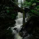 Myrtle Gully Falls by marcb
