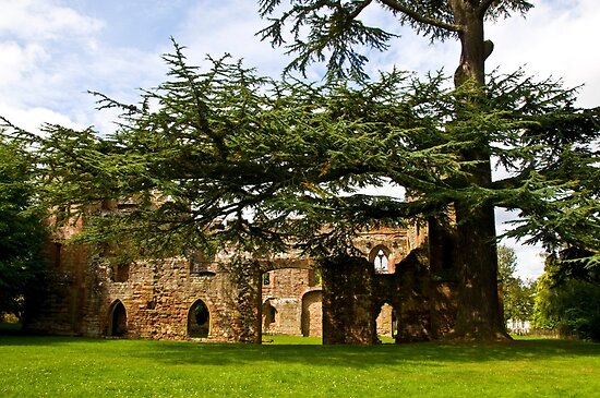 Acton Burnell Castle - Shropshire - UK #2 by Sheila Laurens