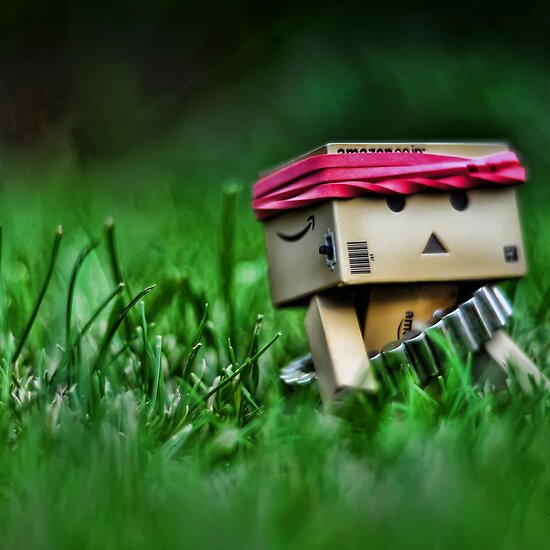 Who the hell is that cardboard Robot? Work.3604185.2.flat,550x550,075,f.rambo-danbo