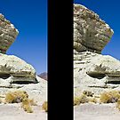 Red Rock Canyon Natural Monument by John Manning