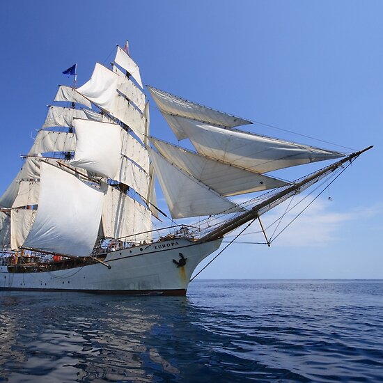 work.3884060.2.flat,550x550,075,f.the-bark-europa.jpg