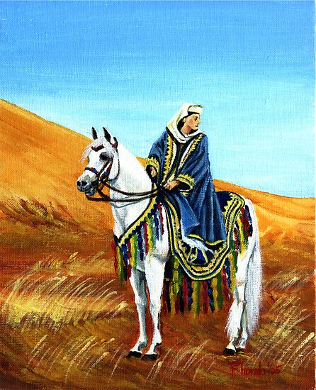 arabian horse wallpaper. arabian horse native costume