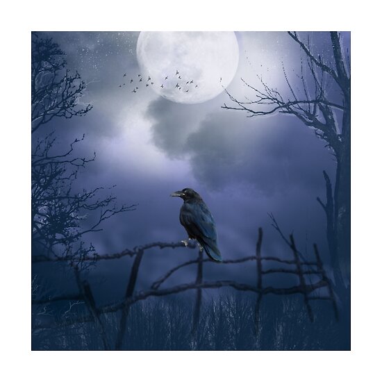 moon raven