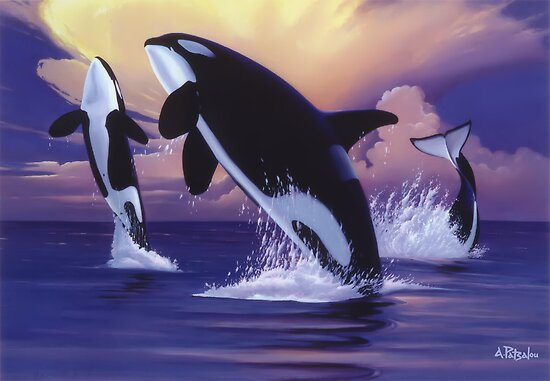 Peinture réaliste orques Work.4189923.1.flat,550x550,075,f.killer-whales