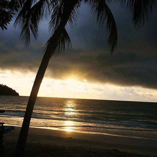sample cover letter resume_05. more sunset on beach with palm trees. Beach, Sunset with Palm Tree,