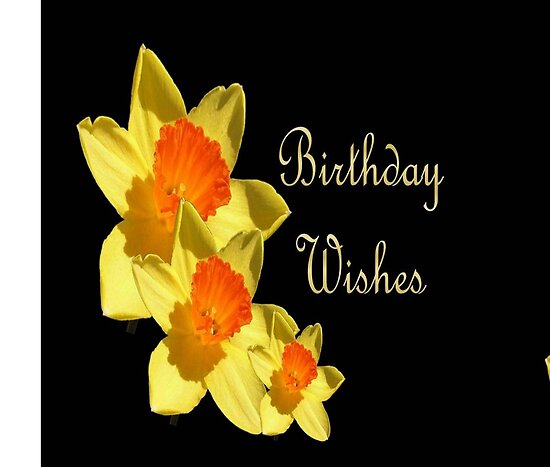 birthday wishes greetings. irthday wishes greeting cards