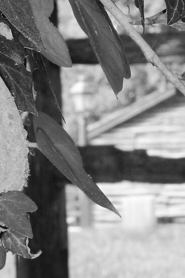 letter art a. Letter Art F 4x6 by Andrew