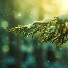 Pine Needles In The Snowfall by Joni Niemelä