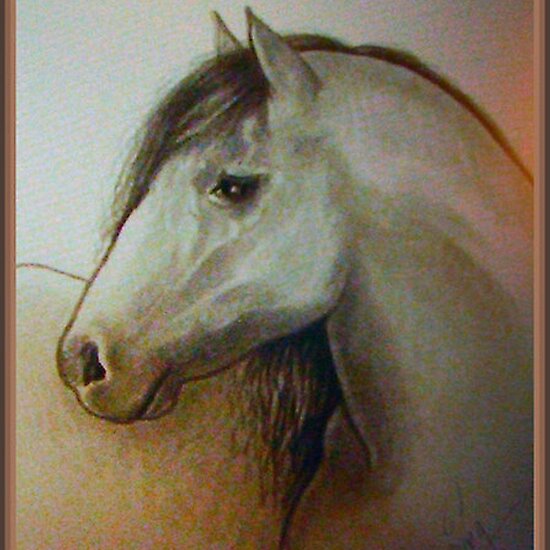 Horse+head+drawings+in+
