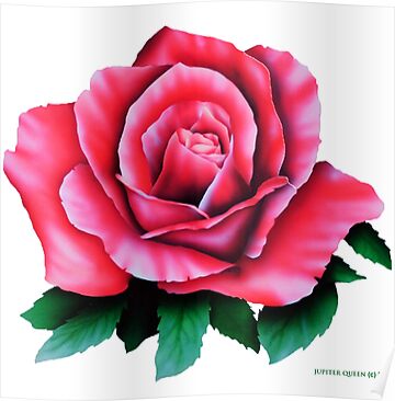 airbrush rose