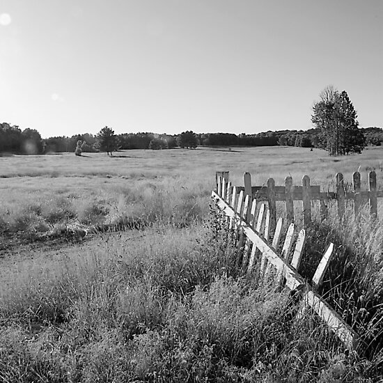 fence by slater