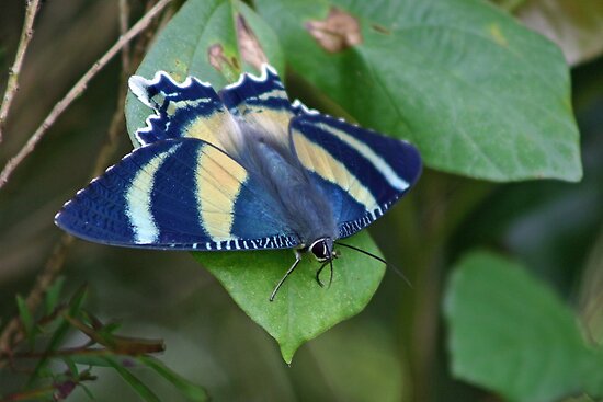 mother board ecs2000