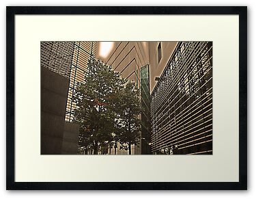 Framed Print: "Money does not grow on trees!...."