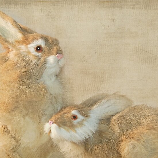 Bunny Buddies by Maria