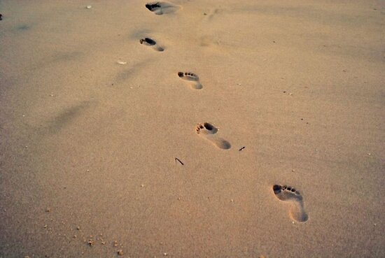 beach sand footprints. Line of footprints in the