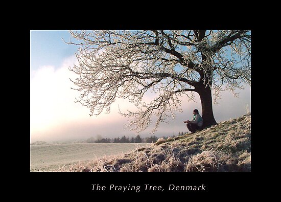 Tree Praying