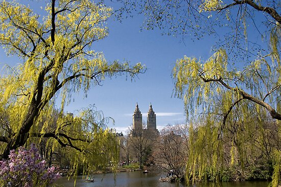 new york central park spring. New York Central Park in the