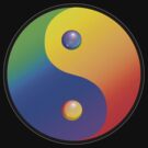 Rainbow Yin Yang by Amy-Elyse Neer