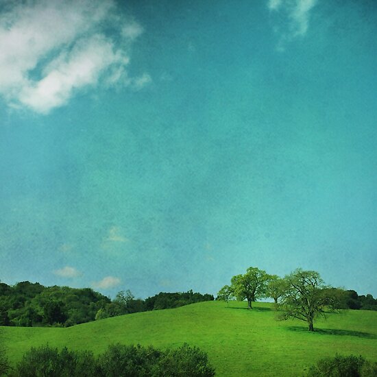 blue sky grass. Green Grass, Blue Sky