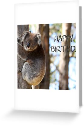 Koala Happy Birthday