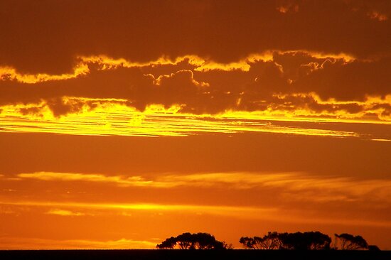 work.7102.11.flat,550x550,075,f.burnt-orange-sunset.jpg
