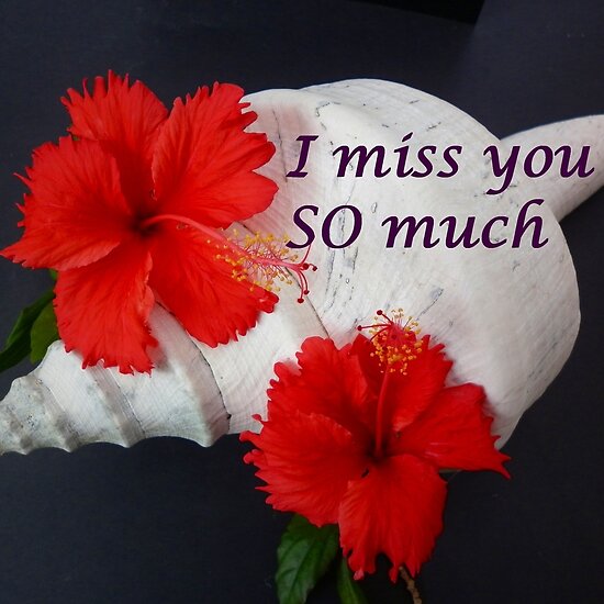 miss you much. I miss you so much by