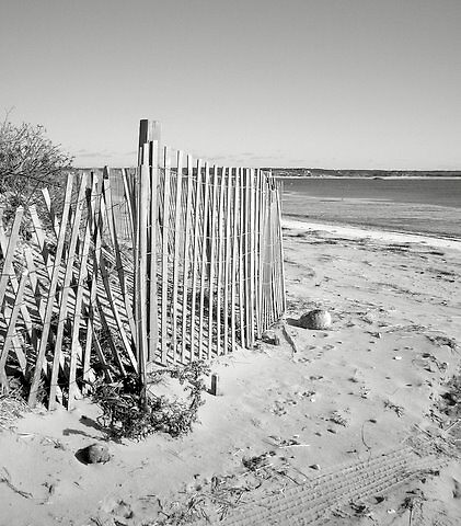 black and white beach photos. lack and whiteeach fence