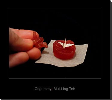 "Origummy" by Mui-Ling Teh