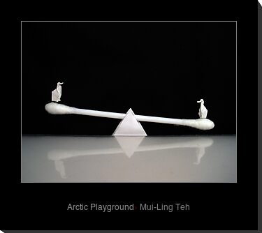 "Arctic Playground" by Mui-Ling Teh