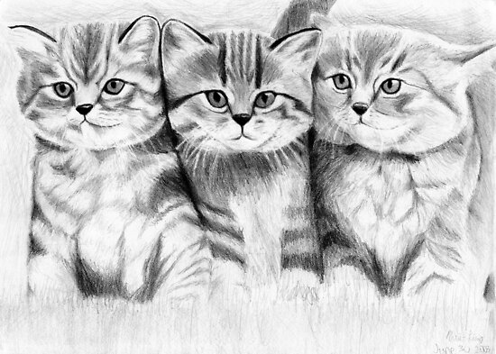Pussy Cats by Mui-Ling Teh