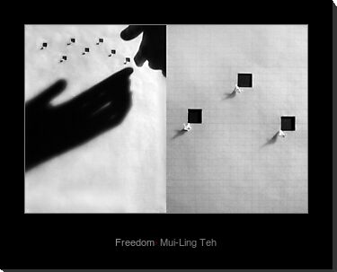 "Freedom" by Mui-Ling Teh