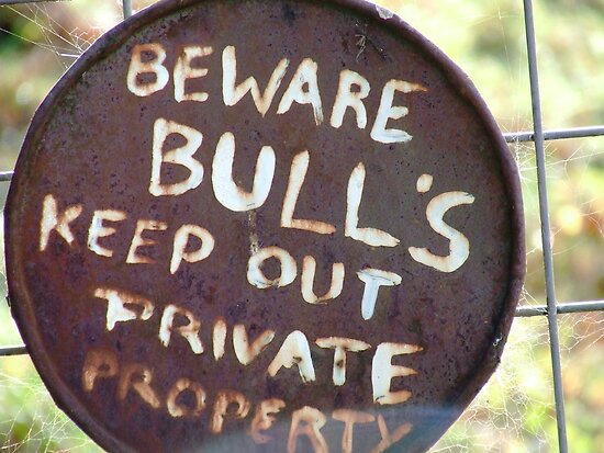 work.2559536.2.flat,550x550,075,f.bulls-beware.jpg