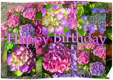 “Happy Birthday Hydrangeas” by ©The Creative Minds | Redbubble
