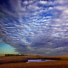 Stillness